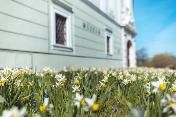Dubnické múzeum v Dubnici nad Váhom 