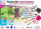 Champion.MDD - Cesta Championa 3 1