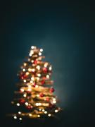 Kam s vianočným stromčekom po sviatkoch? 1