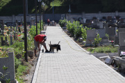 Kríž z pomníka na starom cintoríne mesto opravuje, takmer hotový je už aj centrálny chodník 