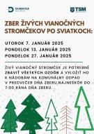 O odvoz živých vianočných stromčekov sa opäť postará mesto 1