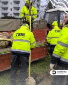 Výsadba stromov 2025