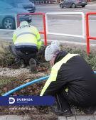 Jarná príprava - trvalkové záhony