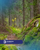 Dubnická 30-tka 2026